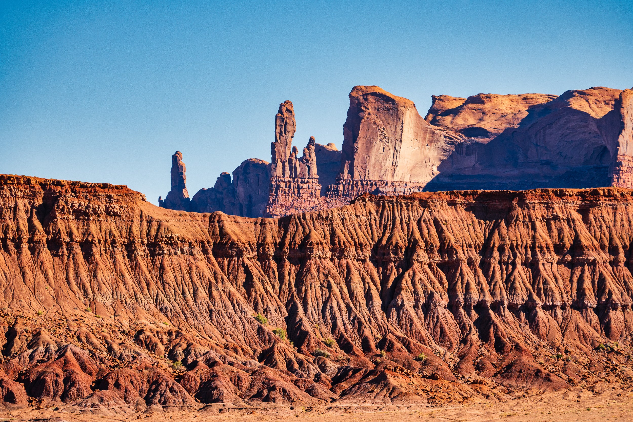 USA 2024 5 Sterne 86